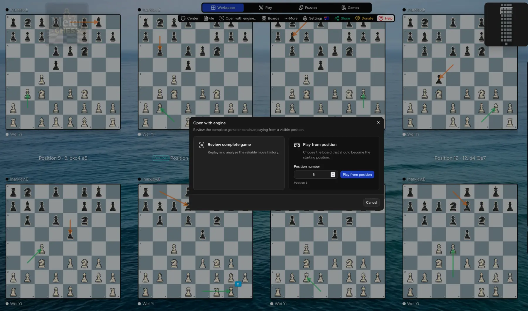 The Meier Chess workspace showing assessed moves across many boards and the option to review the complete game or play from any visible position.